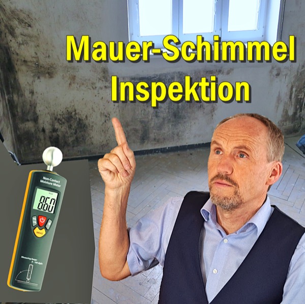 Feuchte Mauern & Schimmel erkennen !